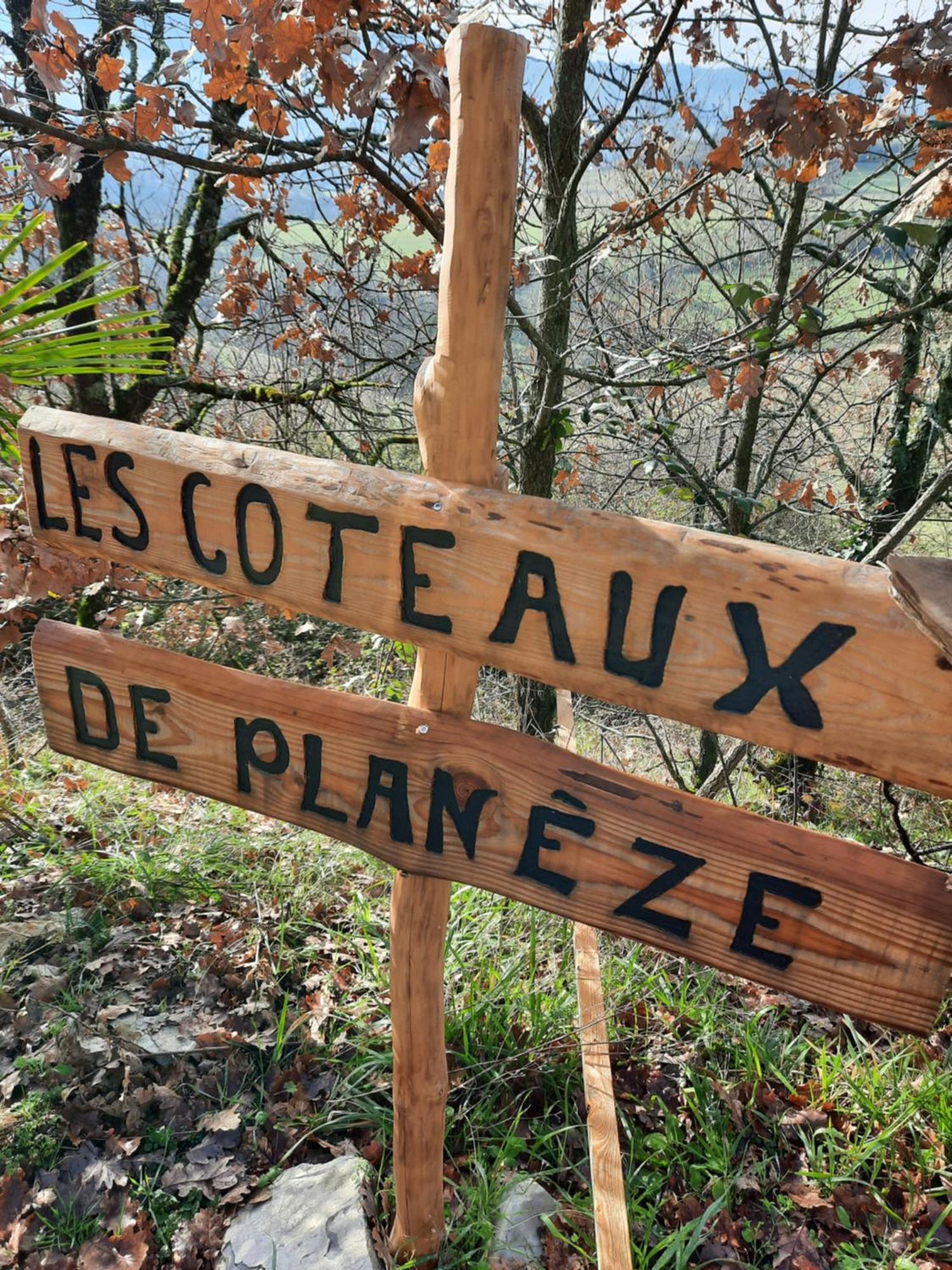 Les Coteaux De Planeze, Chambre Pour 2, 3 Ou Famille Nombreuse 2 Adultes 5 Enfants Et Jeunes Belmont-Bretenoux エクステリア 写真